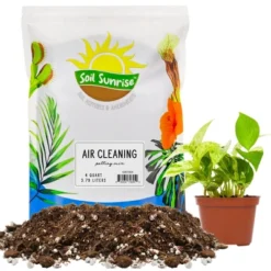 Soil Sunrise Air Cleaning Plant Potting Mix For Pothos, Parlor Palm, Peace Lily 16 Soil Sunrise Air Cleaning Plant Potting Mix For Pothos, Parlor Palm, Peace Lily -D'Eco Store GUEST 5488fda2 4e95 47bf 80c1 e5f2e9af772b