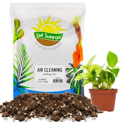 Soil Sunrise Air Cleaning Plant Potting Mix For Pothos, Parlor Palm, Peace Lily 8 Soil Sunrise Air Cleaning Plant Potting Mix For Pothos, Parlor Palm, Peace Lily - Image 8