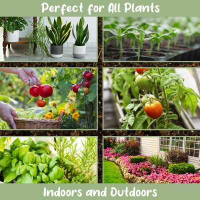 Soil Sunrise Terra-Preta Inspired Potting Soil, Biochar-Enriched Sustainable Mix For Indoor/Outdoor Plants 5 Soil Sunrise Terra-Preta Inspired Potting Soil, Biochar-Enriched Sustainable Mix For Indoor/Outdoor Plants - Image 5