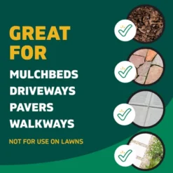 Spruce Weed And Grass Killer Powered Starter Kit 64oz -D'Eco Store GUEST 567ffff5 aa77 44e5 bd19 2584d7c23c5a