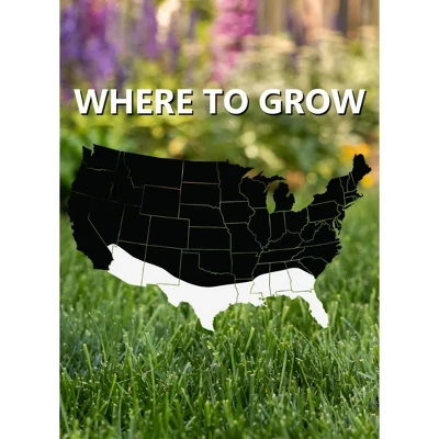 Jonathan Green Black Beauty Founders' Reserve Tall Fescue Grass Seed 2 Jonathan Green Black Beauty Founders' Reserve Tall Fescue Grass Seed - Image 2