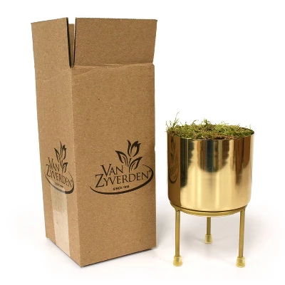 Hyacinth Pink Pearl PreChilled Bulb With Iron Brass Finish Planter And Stand - Van Zyverden 1 Hyacinth Pink Pearl PreChilled Bulb With Iron Brass Finish Planter And Stand - Van Zyverden