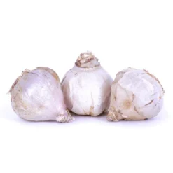 Van Zyverden 3ct Cloves Garlic Softneck Silverskin Silver Rose 10 Van Zyverden 3ct Cloves Garlic Softneck Silverskin Silver Rose -D'Eco Store GUEST 5a2009bd ed4d 4999 8dbb 627b6872be2e