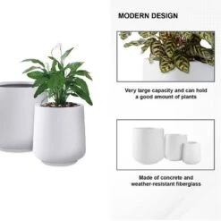 Rosemead Home & Garden 3pc Concrete Outdoor Planter Pots Chalk White 12 Rosemead Home & Garden 3pc Concrete Outdoor Planter Pots Chalk White -D'Eco Store GUEST 5b877132 bcc5 4563 8055 aab50a93506f
