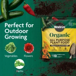 Miracle-Gro Organics Plant Food Granules Fertilizer 3lbs 14 Miracle-Gro Organics Plant Food Granules Fertilizer 3lbs -D'Eco Store GUEST 62575f3d 034b 436a 8e34 c21d527ce6c8