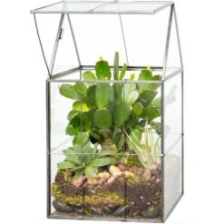 D'Eco Glass Geometric Terrarium For Succulent & Air Plant-Hinged Roof Shaped For Indoor Gardening Decor- Create Your Own Centerpiece (Large 5"x6"x11") 5 D'Eco Glass Geometric Terrarium For Succulent & Air Plant-Hinged Roof Shaped For Indoor Gardening Decor- Create Your Own Centerpiece (Large 5"x6"x11") -D'Eco Store GUEST 63dec60b d33f 4ae5 936a 07494c9a9e67