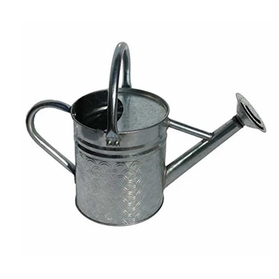 Gardener Select Galvanized Watering Can, Silver, 0.5 Gallon 1 Gardener Select Galvanized Watering Can, Silver, 0.5 Gallon