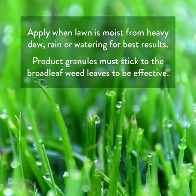 Green View Weed & Feed Herbicide 13lb: Lawn Care Granules, 5000 Sq Ft Coverage, Ready To Use 4 Green View Weed & Feed Herbicide 13lb: Lawn Care Granules, 5000 Sq Ft Coverage, Ready To Use - Image 4