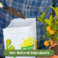 Soil Sunrise Citrus Tree Potting Soil Mix, For Indoor Oranges, Lemons, Limes And More 12 Soil Sunrise Citrus Tree Potting Soil Mix, For Indoor Oranges, Lemons, Limes And More -D'Eco Store GUEST 6d70bcae 226f 486a a66d 7b04afaee8bd