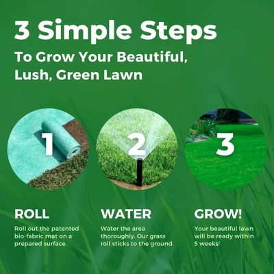 GROWTRAX Tall Fescue Mixture 100 Sq Ft 2 GROWTRAX Tall Fescue Mixture 100 Sq Ft - Image 2