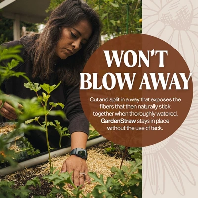 HealthiStraw GardenStraw All-Natural, Clean, Sustainable Garden Straw Mulch For Gardens And Grass Seeding 2 HealthiStraw GardenStraw All-Natural, Clean, Sustainable Garden Straw Mulch For Gardens And Grass Seeding - Image 2