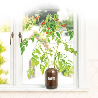 Back To The Roots Organic Tomato Grow Kit 5 Back To The Roots Organic Tomato Grow Kit - Image 5