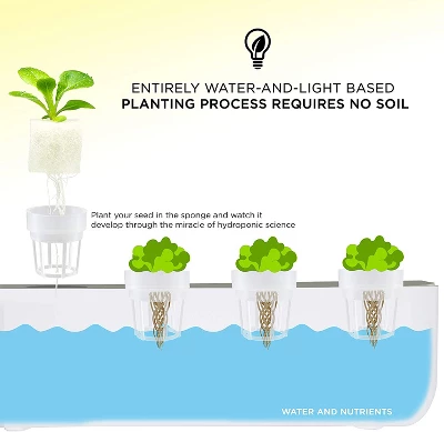 Ivation 11-Pod Indoor Herb Garden, Hydroponic Growing System Kit 3 Ivation 11-Pod Indoor Herb Garden, Hydroponic Growing System Kit - Image 3