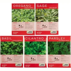 Unique Gardener: Culinary Herb Kit - Grow 5 Herbs In A DIY Biosphere Terrarium 10 Unique Gardener: Culinary Herb Kit - Grow 5 Herbs In A DIY Biosphere Terrarium -D'Eco Store GUEST 7d88324c e52c 4f55 b54c 4a1e1c0b8935