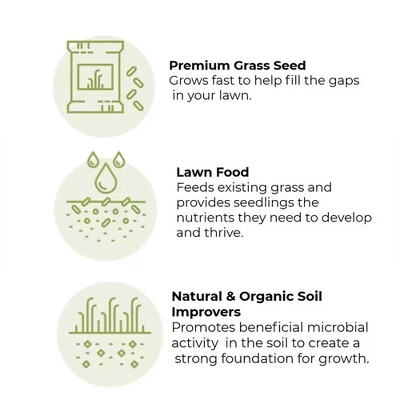 Earth Science 1 Step Sun And Shade Lawn Thickener Seed With Nutri Lock Technology And All Natural Seed For Lawn And Gardening Essentials, 12 Pounds 1 Earth Science 1 Step Sun And Shade Lawn Thickener Seed With Nutri Lock Technology And All Natural Seed For Lawn And Gardening Essentials, 12 Pounds