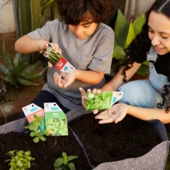 Back To The Roots Organic Raised Bed Gardening Kit With Soil, Seeds, And Plant Food 8 Back To The Roots Organic Raised Bed Gardening Kit With Soil, Seeds, And Plant Food -D'Eco Store GUEST 7ea16af7 0717 4d07 a56e 8e7dc94862b9