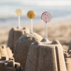 Amborella Organics Seed-Bearing Lollipop “Giddy Up & Grow” Cards 6ct