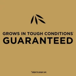 Scotts EZ Seed Bermudagrass 3.75lb Jug: Quick Germination, Sun/Shade Mix, Lawn Revitalization 16 Scotts EZ Seed Bermudagrass 3.75lb Jug: Quick Germination, Sun/Shade Mix, Lawn Revitalization -D'Eco Store GUEST 807fc1b2 ed2a 4d04 ad43 f03ac58f3229