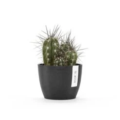 Ecopots Stockholm Mini Durable Modern Round Indoor/Outdoor Recycled-Based Composite Flower Pot Planter 15 Ecopots Stockholm Mini Durable Modern Round Indoor/Outdoor Recycled-Based Composite Flower Pot Planter -D'Eco Store GUEST 80ebc497 036b 47b7 9f4a a6b23367e364