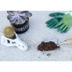 Soil Sunrise 8qt Succulent Potting Soil Mix, Custom Blend 12 Soil Sunrise 8qt Succulent Potting Soil Mix, Custom Blend -D'Eco Store GUEST 82cc3210 1e94 4557 b3cf 8b93bf0f23ea
