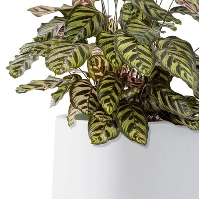 Rosemead Home & Garden 3pc Concrete Outdoor Planter Pots Chalk White 2 Rosemead Home & Garden 3pc Concrete Outdoor Planter Pots Chalk White - Image 2