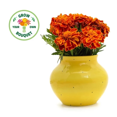 Back To The Roots Organic Marigold Flower Grow Kit With Plantable Starting Pot Soil And Seeds 2 Back To The Roots Organic Marigold Flower Grow Kit With Plantable Starting Pot Soil And Seeds - Image 2