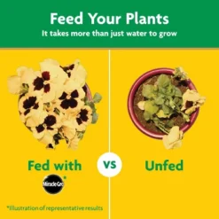 Miracle-Gro Water Soluble All Purpose Plant Food 1.5lb: Nutrient-Rich Formula For Healthy Growth, Fast Release -D'Eco Store GUEST 8a7c5991 89a9 4f07 a682 3f0f344cf603
