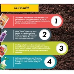 True Organic Granular Azalea, Camellia & Rhododendron 5-4-3 Plant Food 11 True Organic Granular Azalea, Camellia & Rhododendron 5-4-3 Plant Food -D'Eco Store GUEST 8a9b7a99 bae5 401c ba36 421356df63dd