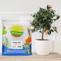 Soil Sunrise Citrus Tree Potting Soil Mix, For Indoor Oranges, Lemons, Limes And More