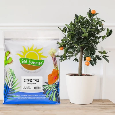 Soil Sunrise Citrus Tree Potting Soil Mix, For Indoor Oranges, Lemons, Limes And More 1 Soil Sunrise Citrus Tree Potting Soil Mix, For Indoor Oranges, Lemons, Limes And More