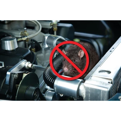 P3 International® Underhood Animal Chaser™ In Black 2 P3 International® Underhood Animal Chaser™ In Black - Image 2