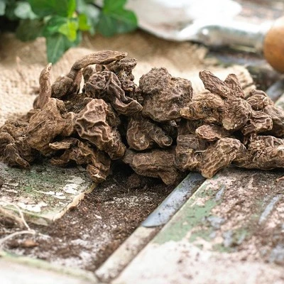 Van Zyverden 25ct Bulbs Anemone Wind Flowers Darkest Blue 1 Van Zyverden 25ct Bulbs Anemone Wind Flowers Darkest Blue