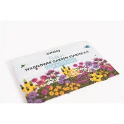 Sunday Outdoor Wildflower Garden Kit 7 Sunday Outdoor Wildflower Garden Kit -D'Eco Store GUEST 940a7f09 74af 49d3 aa7d 14958062ea84
