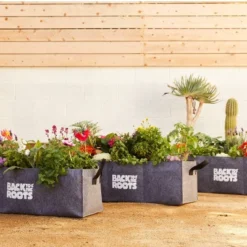 Back To The Roots Organic Raised Bed Gardening Kit With Soil, Seeds, And Plant Food 10 Back To The Roots Organic Raised Bed Gardening Kit With Soil, Seeds, And Plant Food -D'Eco Store GUEST 96a857e1 a4bb 4cf1 9c71 f1b4bbcd82c4