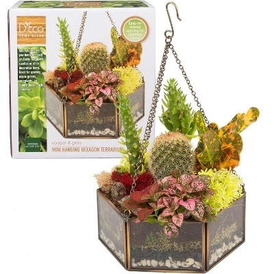 D'Eco Glass Geometric DIY Terrarium, Succulent & Air Plant- Hanging Mini Hexagon Shaped For Indoor Gardening Decor- Create Your Own Centerpiece 3 D'Eco Glass Geometric DIY Terrarium, Succulent & Air Plant- Hanging Mini Hexagon Shaped For Indoor Gardening Decor- Create Your Own Centerpiece - Image 3