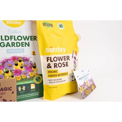 Sunday Outdoor Wildflower Garden Kit 4 Sunday Outdoor Wildflower Garden Kit - Image 4