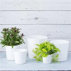 Novelty Manufacturing Majestic Full Depth Round Cylinder Pot -D'Eco Store GUEST 9a7d4323 2c82 4347 ab2c 20670a08dd25