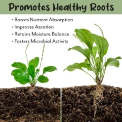 Soil Sunrise Terra-Preta Inspired Potting Soil, Biochar-Enriched Sustainable Mix For Indoor/Outdoor Plants 14 Soil Sunrise Terra-Preta Inspired Potting Soil, Biochar-Enriched Sustainable Mix For Indoor/Outdoor Plants -D'Eco Store GUEST 9e4d769f 90e4 4b44 b662 fe25f2c5cbaa