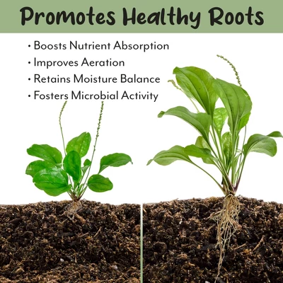 Soil Sunrise Terra-Preta Inspired Potting Soil, Biochar-Enriched Sustainable Mix For Indoor/Outdoor Plants 4 Soil Sunrise Terra-Preta Inspired Potting Soil, Biochar-Enriched Sustainable Mix For Indoor/Outdoor Plants - Image 4