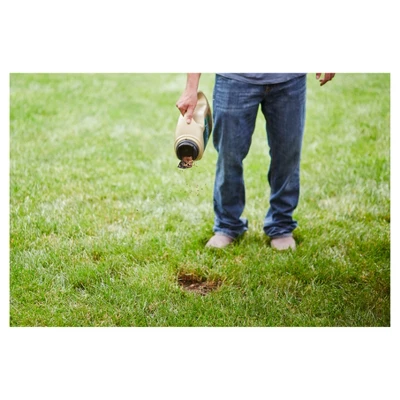 Scotts EZ Seed Tall Fescue 10lb 2 Scotts EZ Seed Tall Fescue 10lb - Image 2