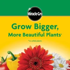 Miracle-Gro Water Soluble All Purpose Plant Food 1.5lb: Nutrient-Rich Formula For Healthy Growth, Fast Release -D'Eco Store GUEST a1f4cc00 9926 49bc bfee a1c18b9c73d5
