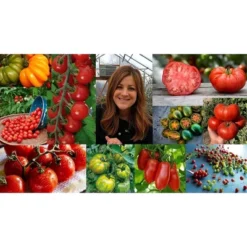 Espoma Organic Tomato! 1-3-1 Plant Food -D'Eco Store GUEST a289b76c ce63 41fa bd44 be3f3f5fd3f0