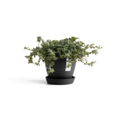 Ecopots Antwerp Mini Durable Modern Round Indoor/Outdoor Recycled-Based Composite Flower Pot Planter 13 Ecopots Antwerp Mini Durable Modern Round Indoor/Outdoor Recycled-Based Composite Flower Pot Planter -D'Eco Store GUEST a4ece59d 433a 4e65 a0fe d72331b2591c