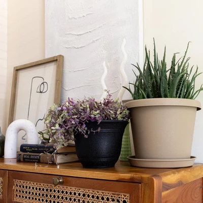 The HC Companies Sierra Round Self-Watering Pot, Plastic Stoneware Planter With Internal Disk For Indoor And Outdoor Plants, 10 Inch, Black Onyx 2 The HC Companies Sierra Round Self-Watering Pot, Plastic Stoneware Planter With Internal Disk For Indoor And Outdoor Plants, 10 Inch, Black Onyx - Image 2