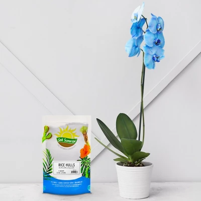 Soil Sunrise Horticultural Grade Rice Hulls; For House Plants And Chicken Bedding 1 Soil Sunrise Horticultural Grade Rice Hulls; For House Plants And Chicken Bedding