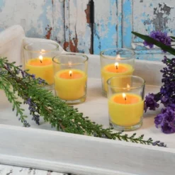 LumaBase Citronella Votive Candles In Clear Glass Holders - Set Of 12 -D'Eco Store GUEST b228bed8 a40e 45e3 8f2c 1b5ab5b063af