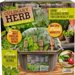 Unique Gardener: Culinary Herb Kit - Grow 5 Herbs In A DIY Biosphere Terrarium 13 Unique Gardener: Culinary Herb Kit - Grow 5 Herbs In A DIY Biosphere Terrarium -D'Eco Store GUEST b3f4c1e0 4447 4d02 b2d9 4e3d3fe867bd