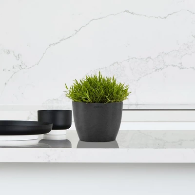 Ecopots Stockholm Mini Durable Modern Round Indoor/Outdoor Recycled-Based Composite Flower Pot Planter 2 Ecopots Stockholm Mini Durable Modern Round Indoor/Outdoor Recycled-Based Composite Flower Pot Planter - Image 2