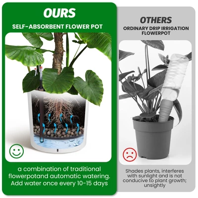 Round Planter Set Of 2, Self Watering Pots For Indoor Plants, Large Flower Pot Outdoor With Built-in Drainage And A Water Level Monitor 5 Round Planter Set Of 2, Self Watering Pots For Indoor Plants, Large Flower Pot Outdoor With Built-in Drainage And A Water Level Monitor - Image 5