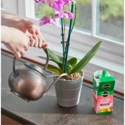 Miracle-Gro 30-10-10 Water Soluble Orchid Food, 8oz 11 Miracle-Gro 30-10-10 Water Soluble Orchid Food, 8oz -D'Eco Store GUEST b5d6473c cdcd 44b2 af21 b479266bd54f